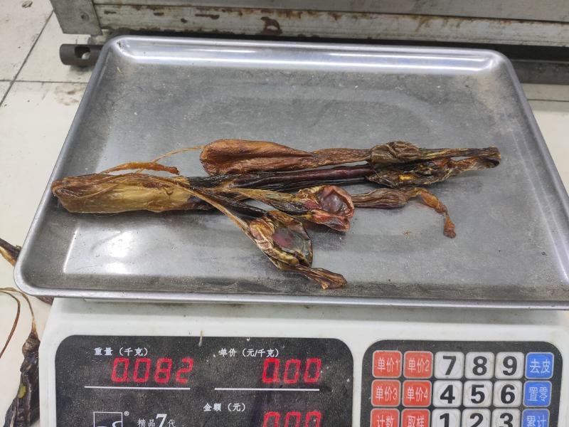 黄狗鞭海狗鞭正品保证质量泡酒料
