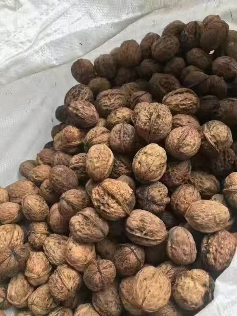 云南麻子薄皮核桃新货纸皮核桃地摊江湖手捏即开