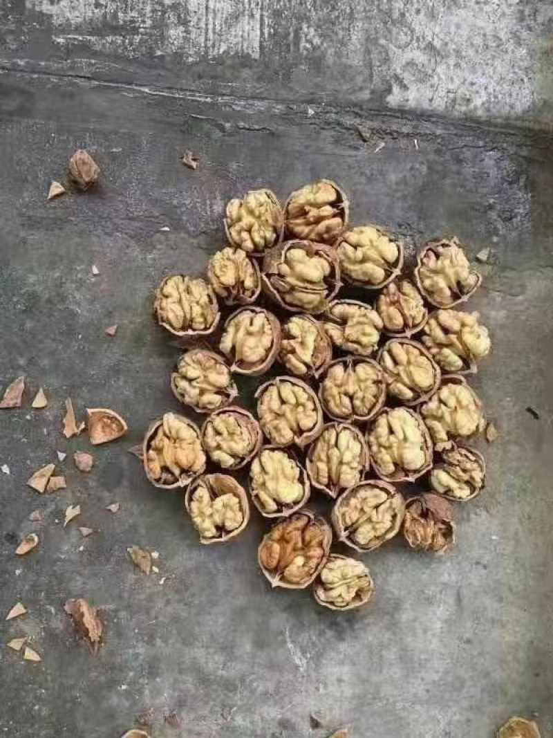 云南麻子薄皮核桃新货纸皮核桃地摊江湖手捏即开