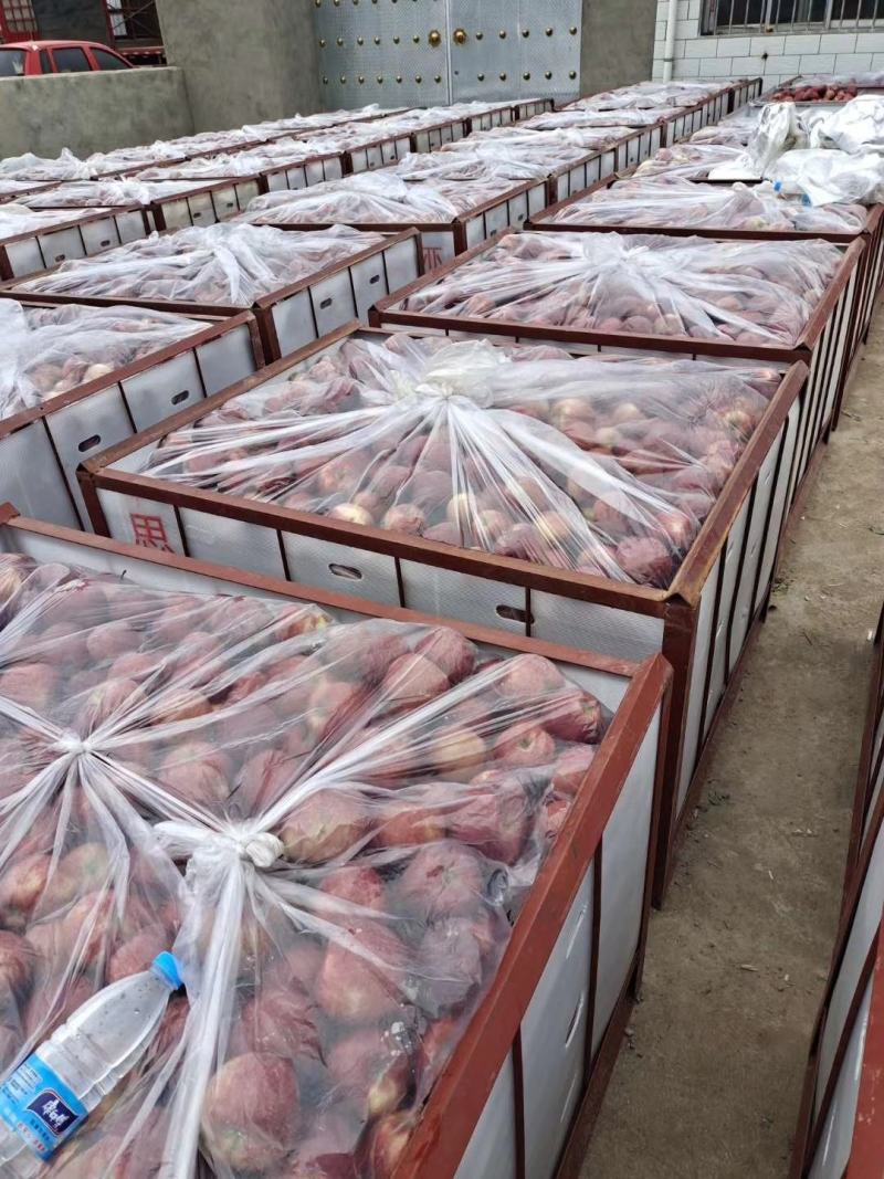 甘肃苹果会宁精品苹果产地一手货源支持全国代办代发