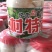雁鹅蛋，双簧蛋，大雁蛋，鸭蛋，大桶蛋，一件代发！