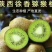 陕西武功徐香猕猴桃种植基地，是西北农林科技大学指导下研