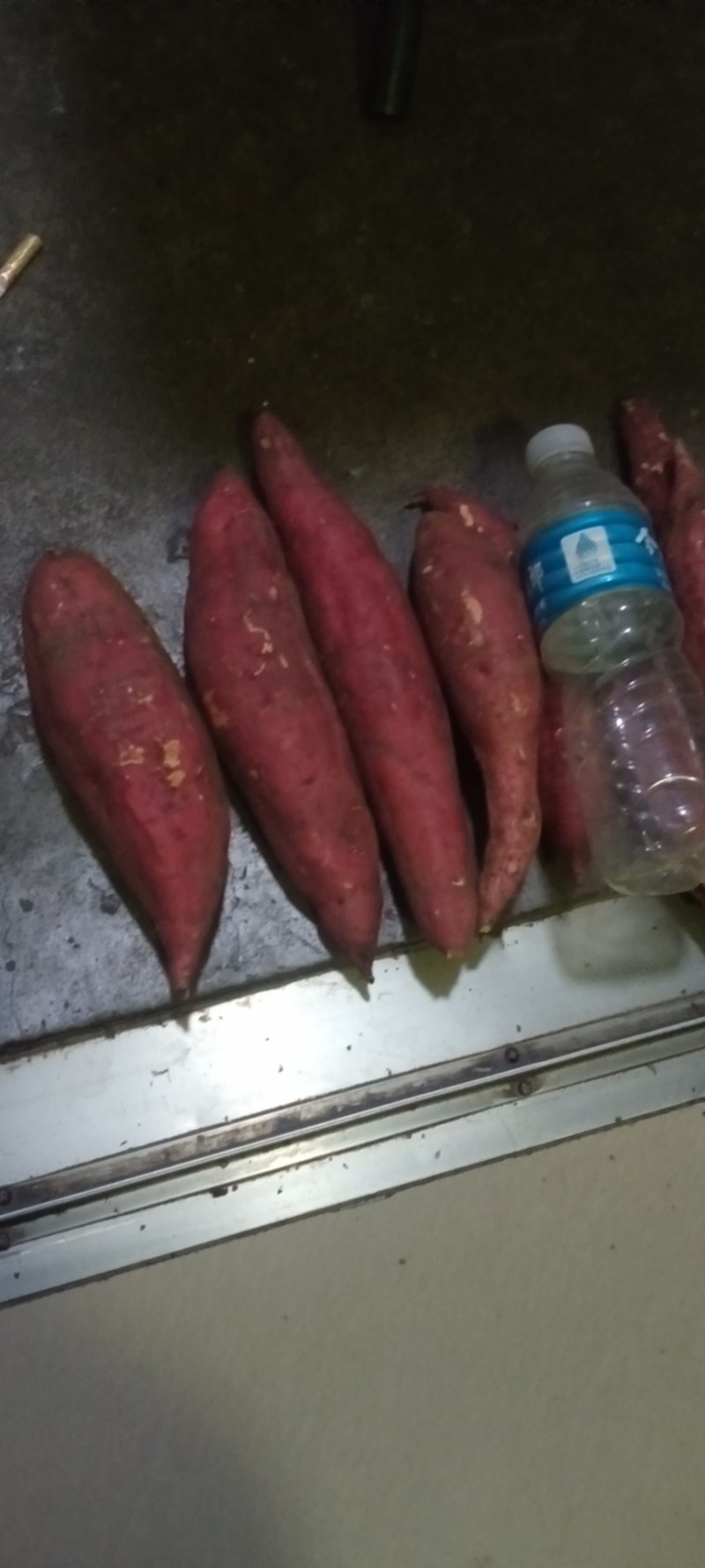 玉田县红薯
