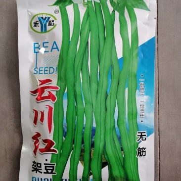 云川红架豆（内蒙赤峰裕隆种子有限公司）