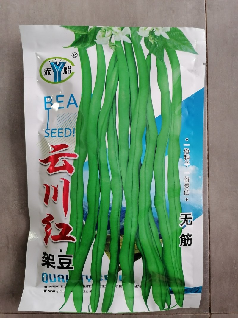 云川红架豆（内蒙赤峰裕隆种子有限公司）