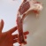 山东阳信工厂直发眼肉骨质量保证一件发货
