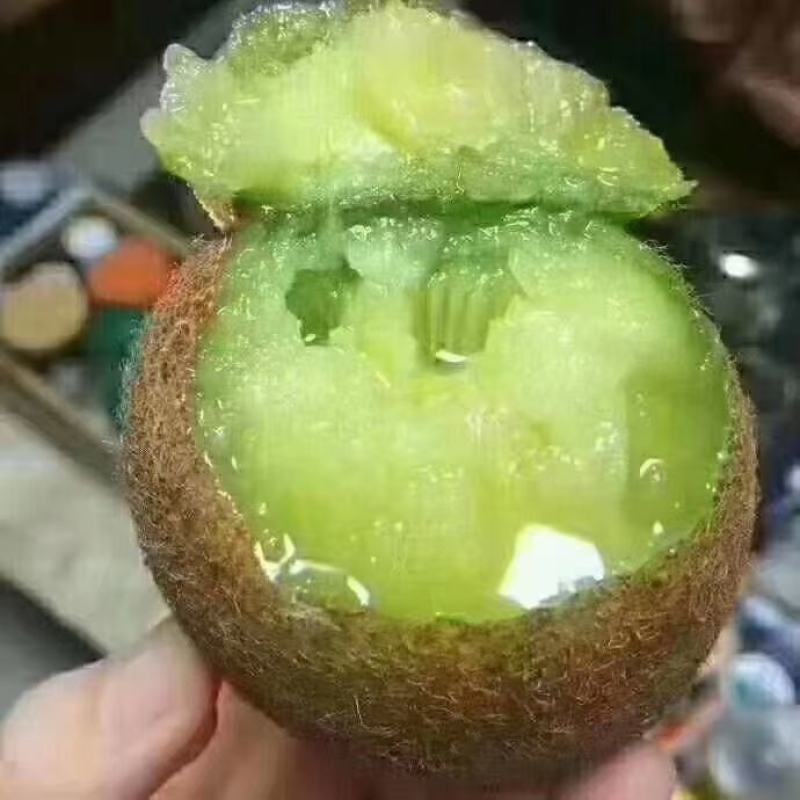 陕西武功徐香猕猴桃种植基地，是西北农林科技大学指导下研