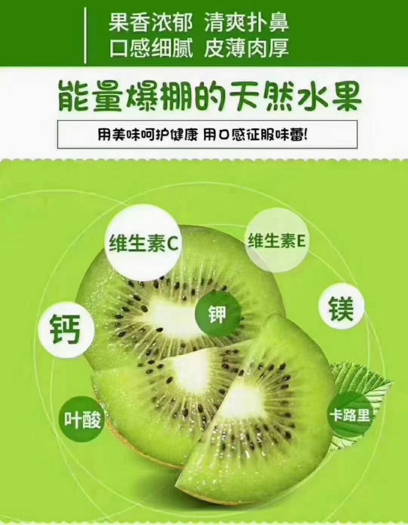 陕西武功徐香猕猴桃种植基地，是西北农林科技大学指导下研