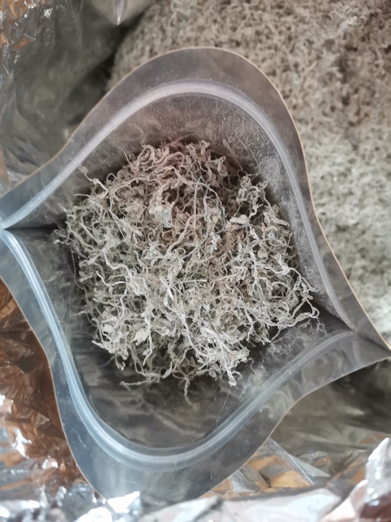 张家界莓茶特级芽尖龙须3-5CM