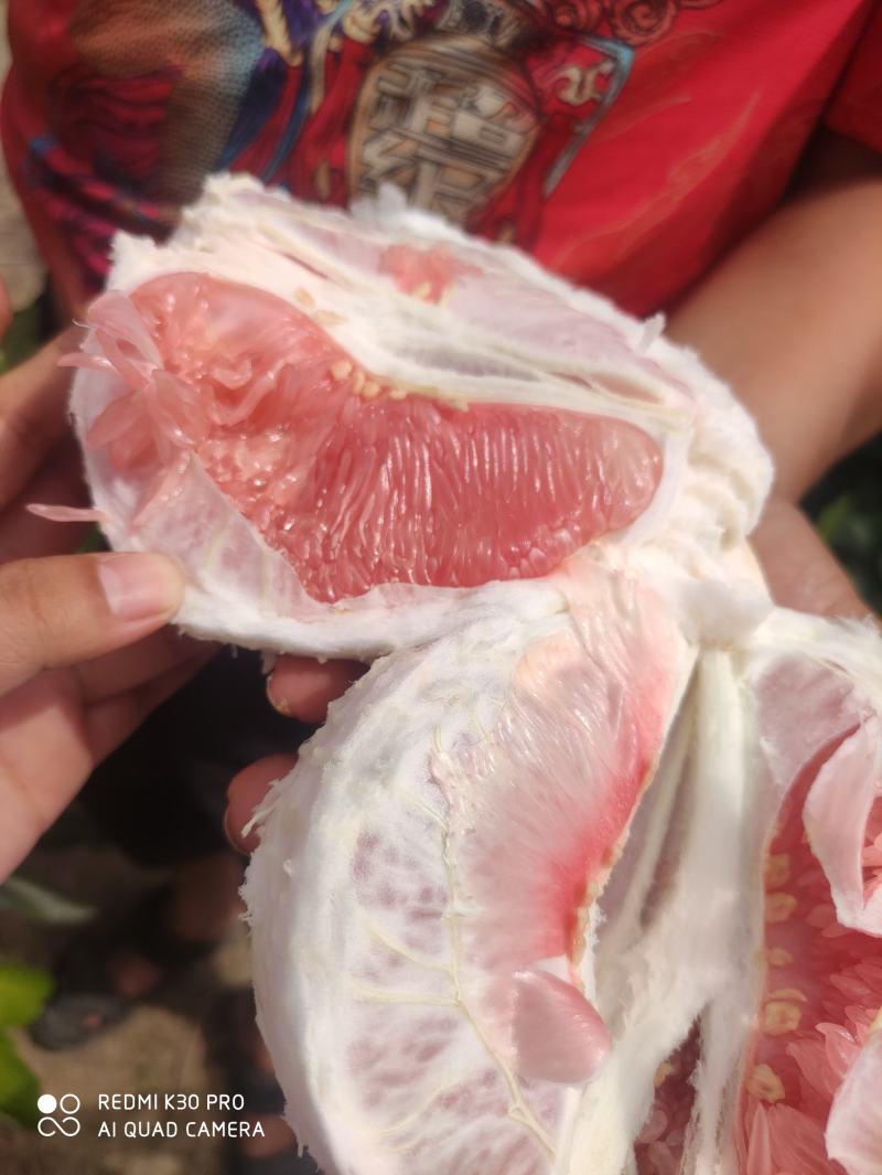 红心蜜柚