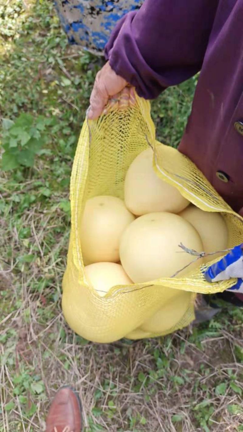 蜜柚红心柚基地大量供应，口感甜适合电商，商超，市场