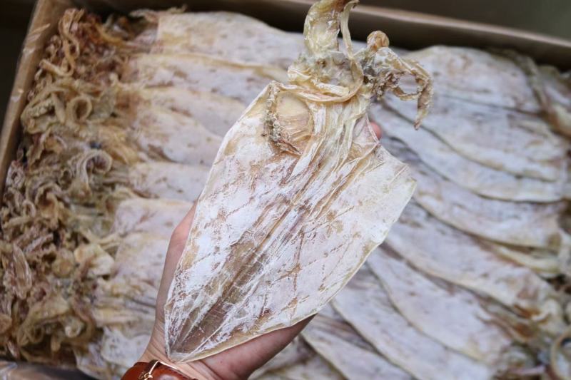 E厂2号北海鱿鱼干牌子顺顺颜色白品质好16条左右