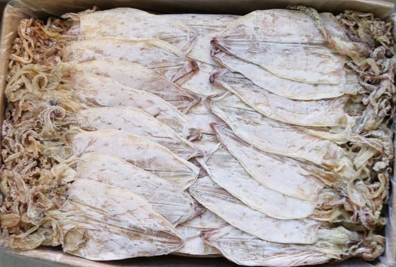 E厂2号北海鱿鱼干牌子顺顺颜色白品质好16条左右