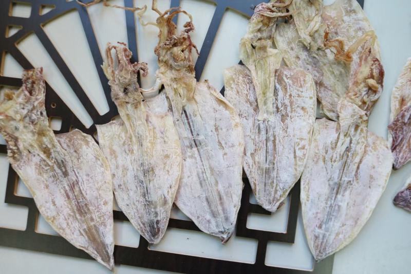 E厂2号北海鱿鱼干牌子顺顺颜色白品质好16条左右