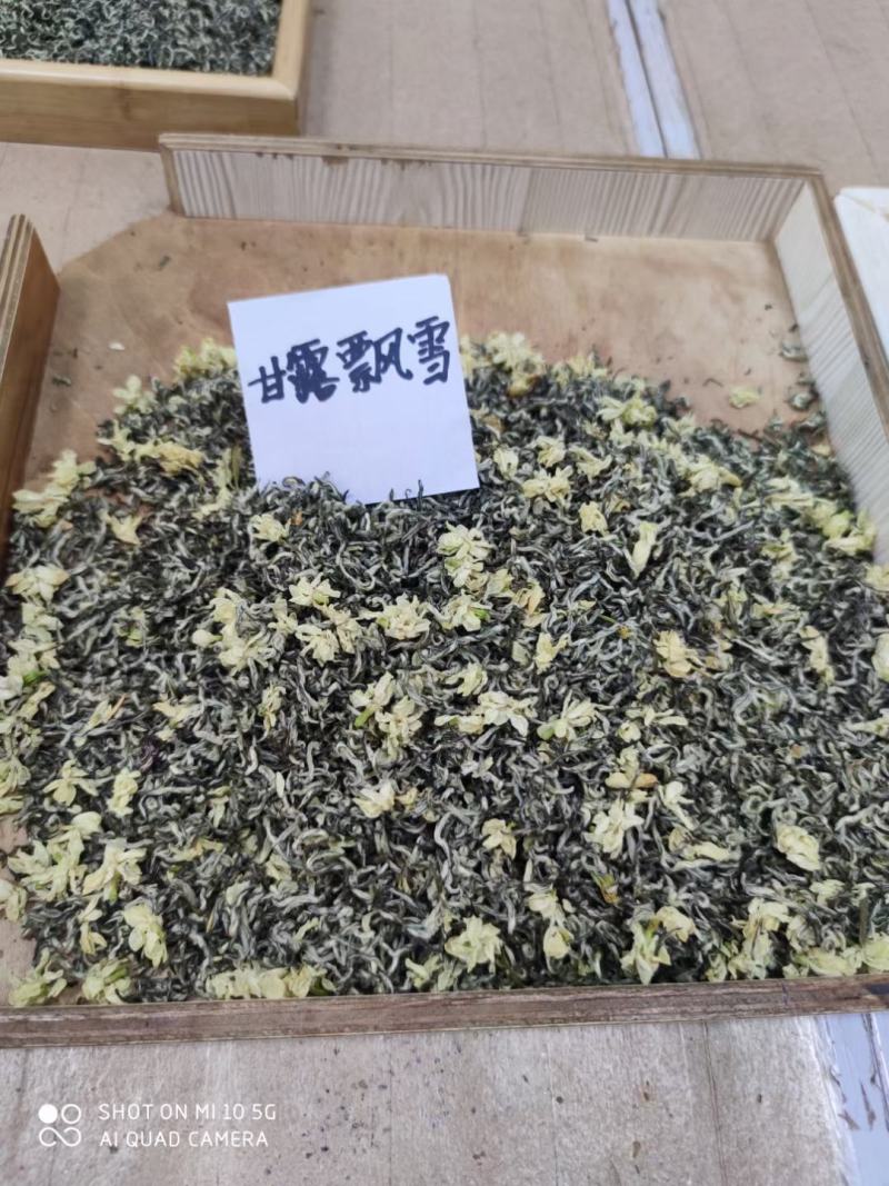 2021茉莉花茶开始大量上市啦！自家工厂加工！价格好商量