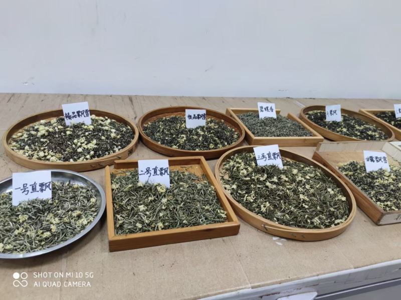 2021茉莉花茶开始大量上市啦！自家工厂加工！价格好商量