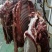 鲜驴肉鲜马肉自贡自养可实地参观选购