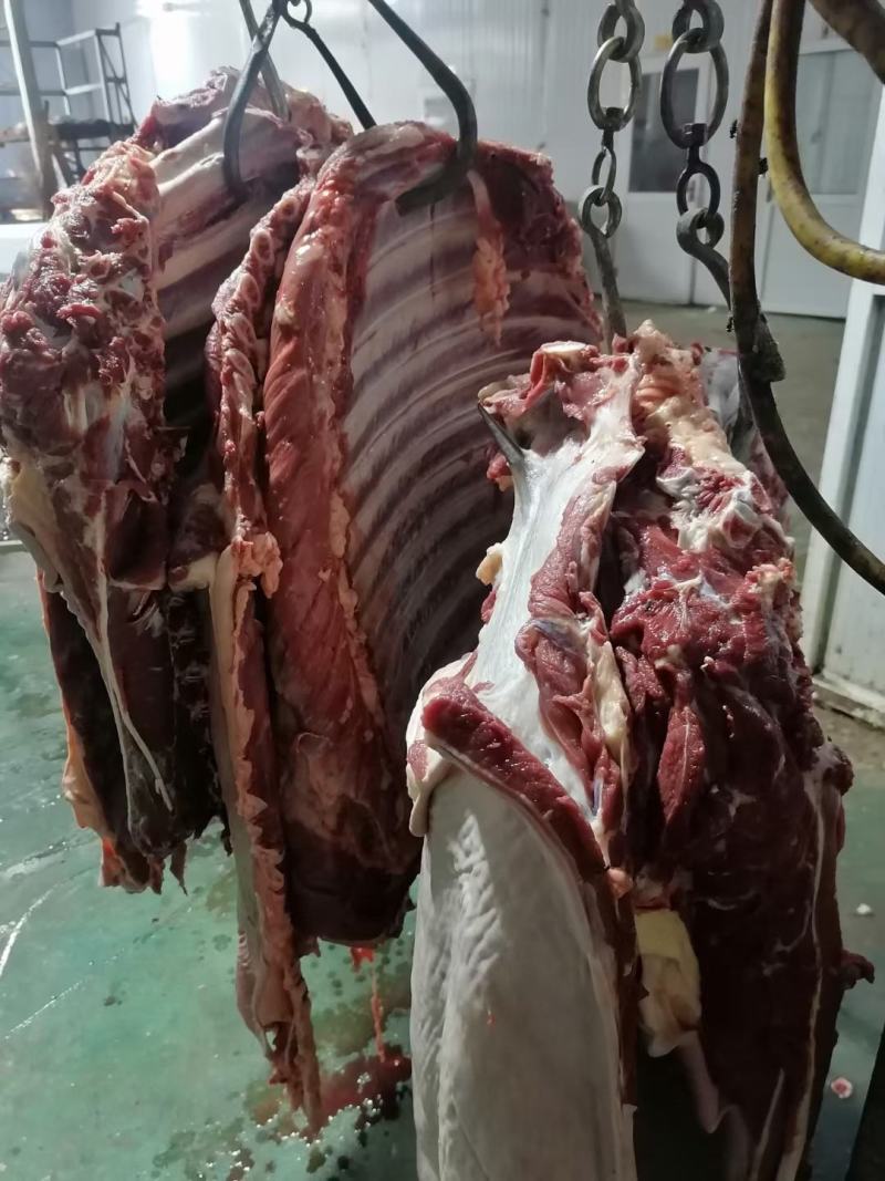 鲜驴肉鲜马肉自贡自养可实地参观选购