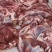 鲜驴肉鲜马肉自贡自养可实地参观选购
