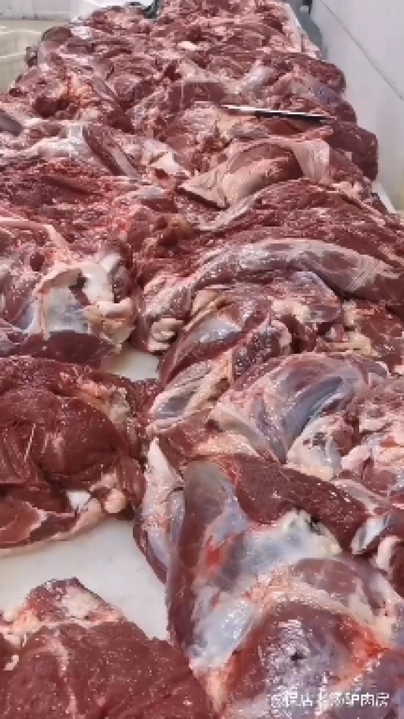 鲜驴肉鲜马肉自贡自养可实地参观选购