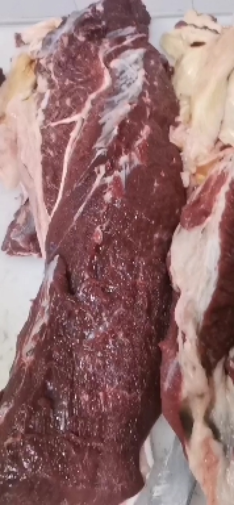 鲜驴肉鲜马肉自贡自养可实地参观选购