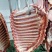 鲜驴肉鲜马肉自贡自养可实地参观选购