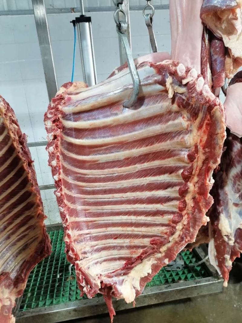鲜驴肉鲜马肉自贡自养可实地参观选购