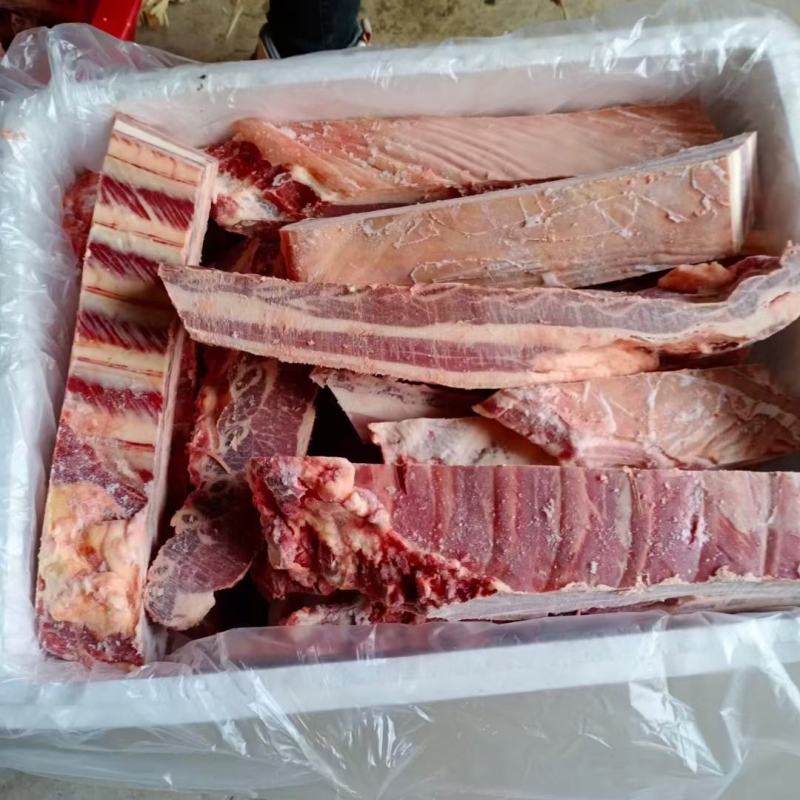 鲜驴肉鲜马肉自贡自养可实地参观选购