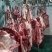 鲜驴肉鲜马肉自贡自养可实地参观选购