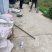 这里是河北唐山，纯正的稻田蟹开始上市了，想吃你就来