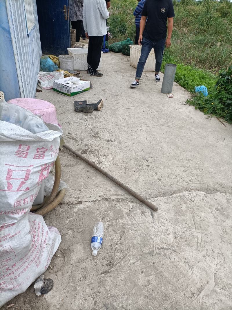 这里是河北唐山，纯正的稻田蟹开始上市了，想吃你就来