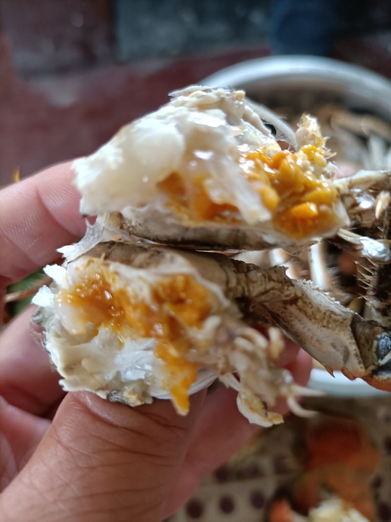这里是河北唐山，纯正的稻田蟹开始上市了，想吃你就来