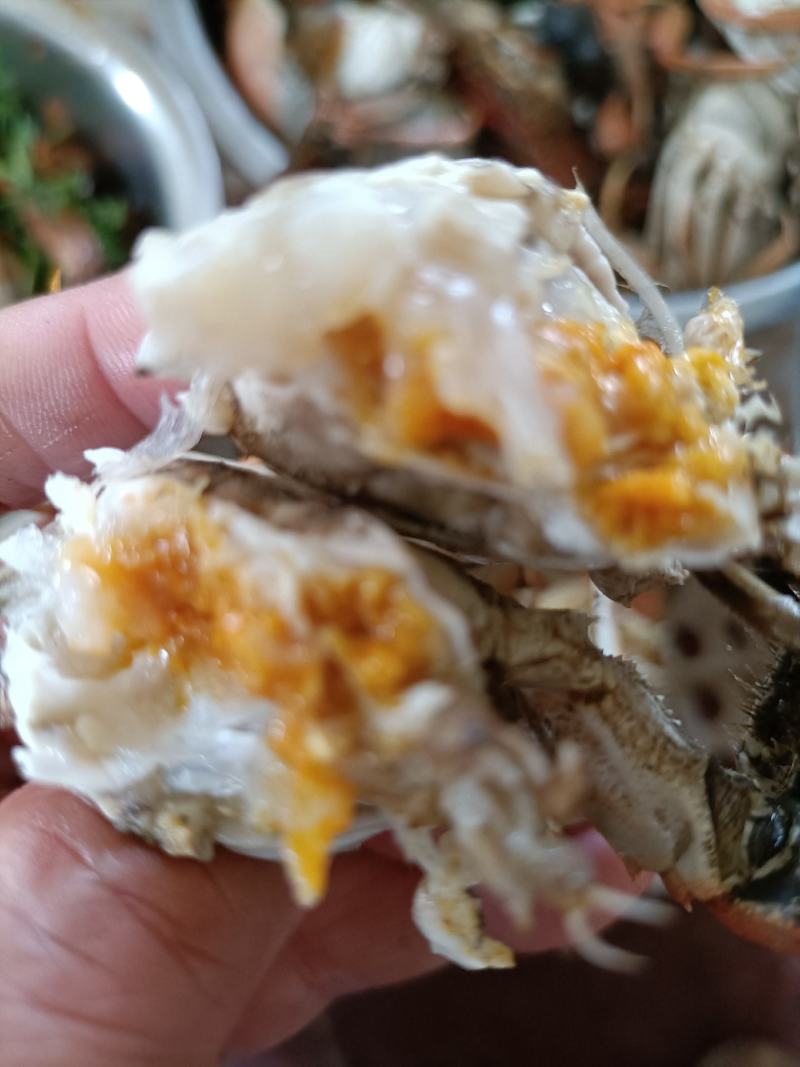 这里是河北唐山，纯正的稻田蟹开始上市了，想吃你就来