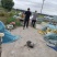 这里是河北唐山，纯正的稻田蟹开始上市了，想吃你就来