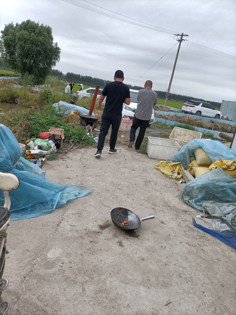 这里是河北唐山，纯正的稻田蟹开始上市了，想吃你就来