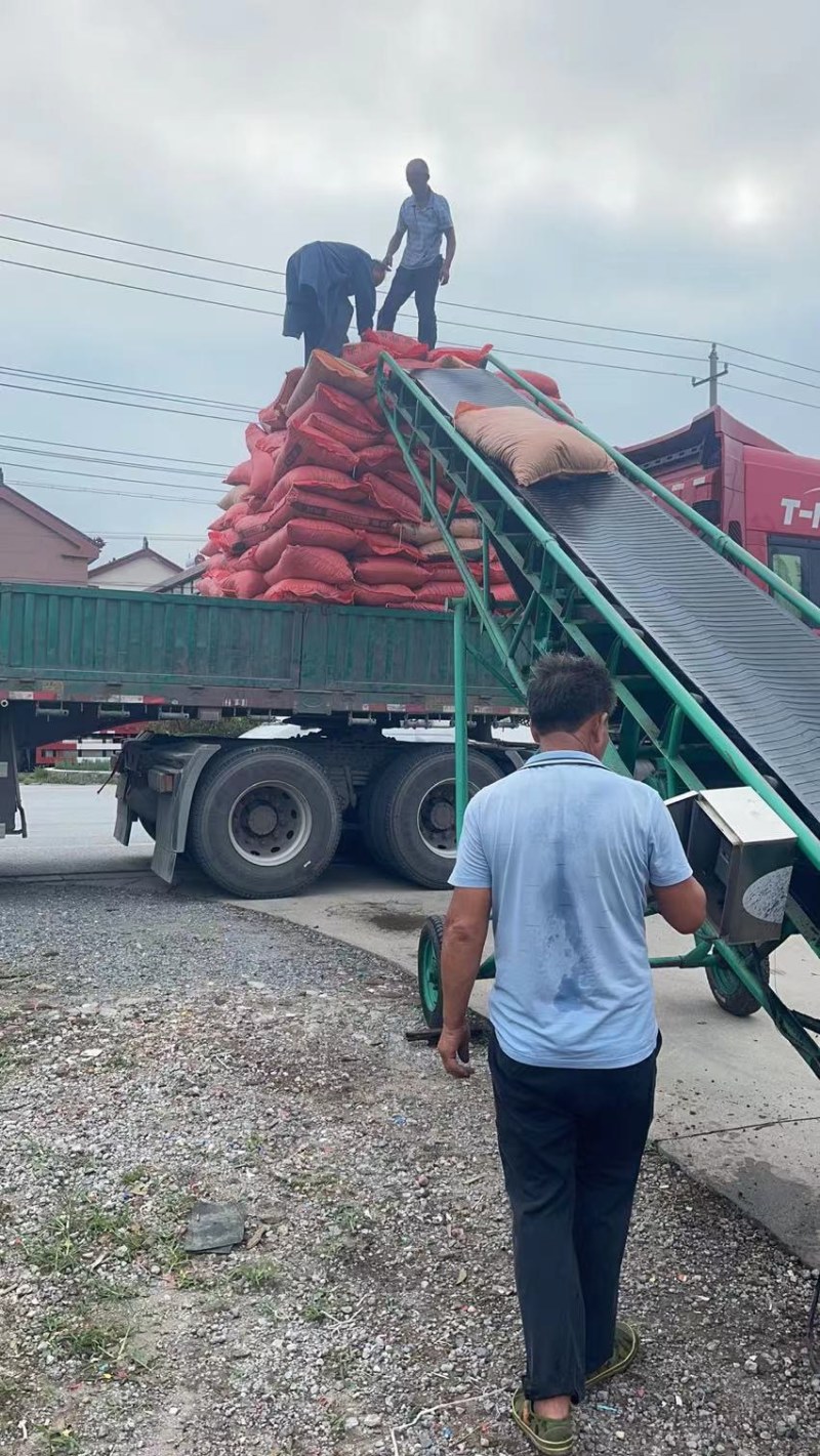 羊粪