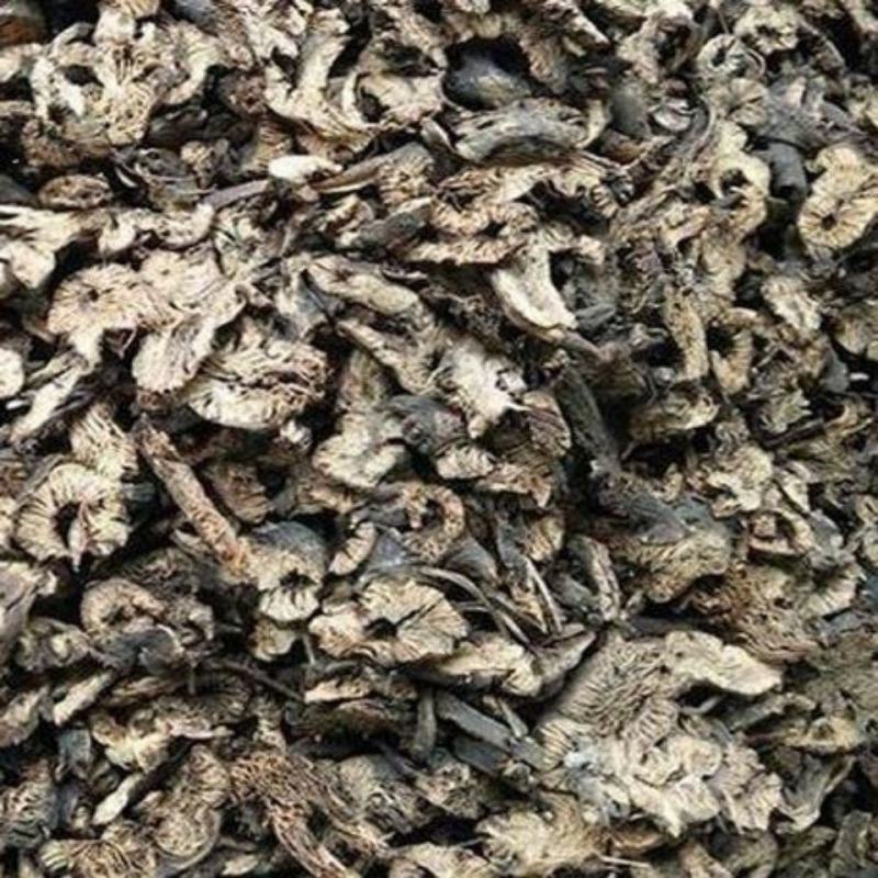 升麻中药材升麻周升麻绿升麻北升麻龙眼根包邮质量保证