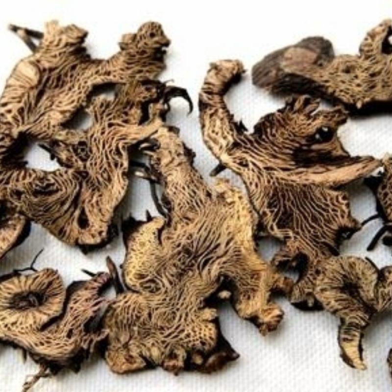 升麻中药材升麻周升麻绿升麻北升麻龙眼根包邮质量保证