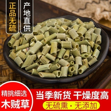 木贼草木贼木贼草天然纯新货中药材笔筒草节节草