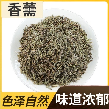 香薷香薷中药材店铺包邮新鲜干货香薷茶香薷草香茹正品中