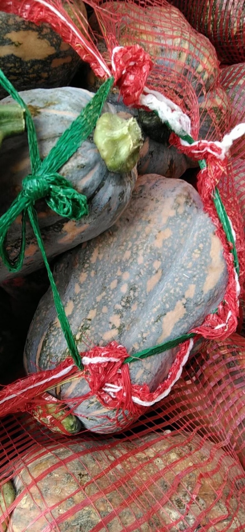金香南瓜，大量有货，需要的抓紧时间联系