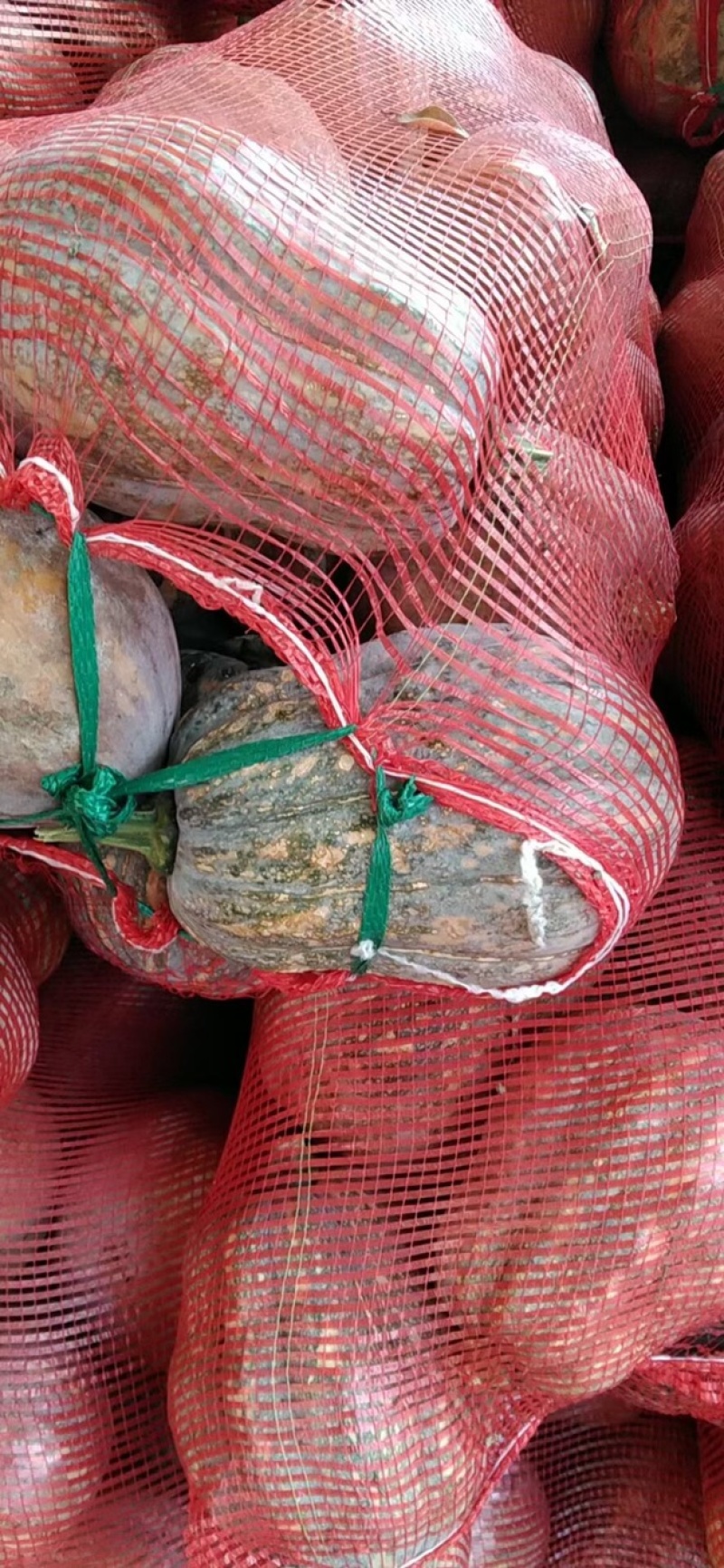 金香南瓜，大量有货，需要的抓紧时间联系