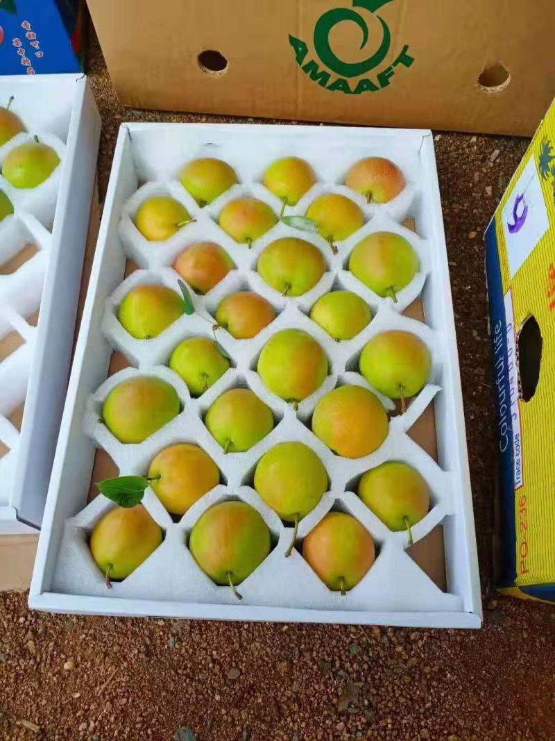 海城接文特产精品南果梨个大皮薄