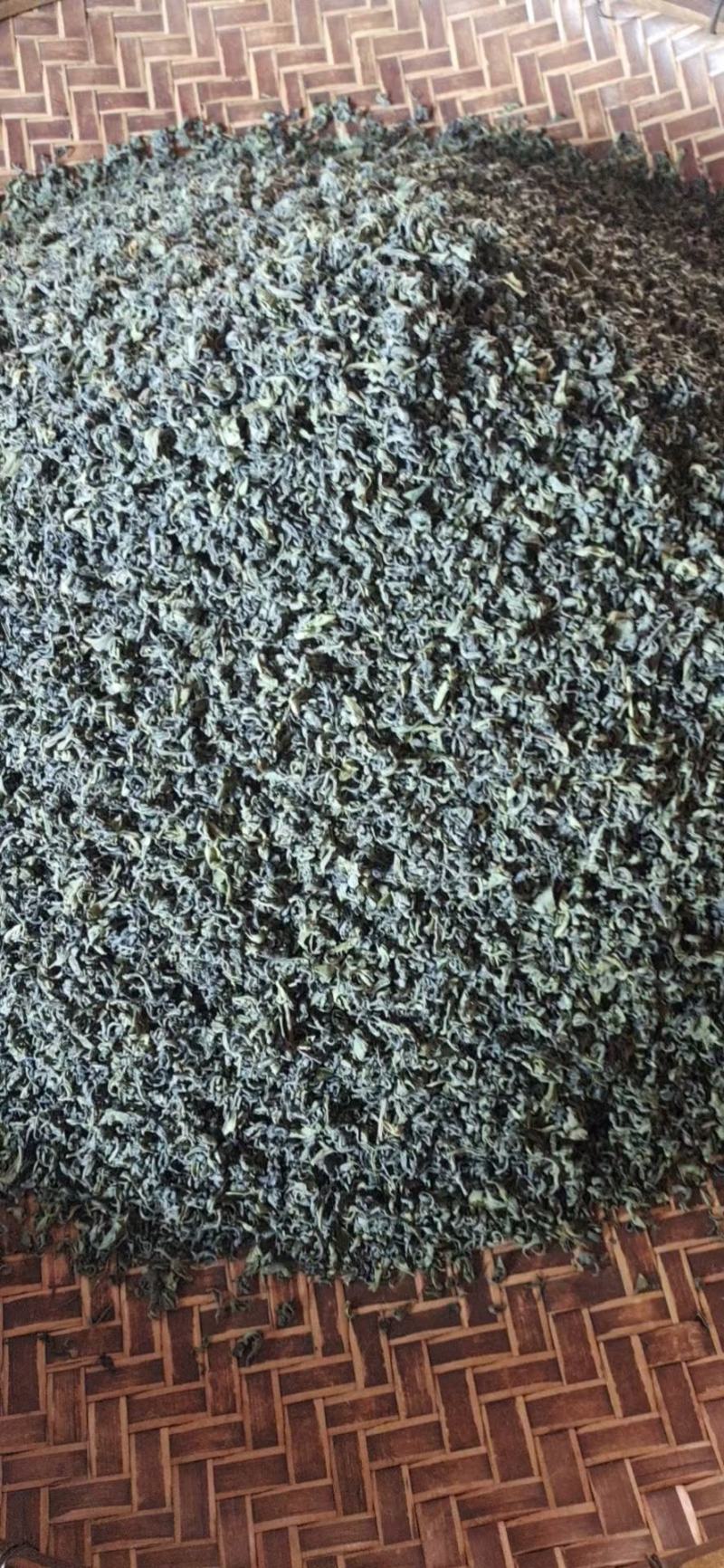 柏塘山茶