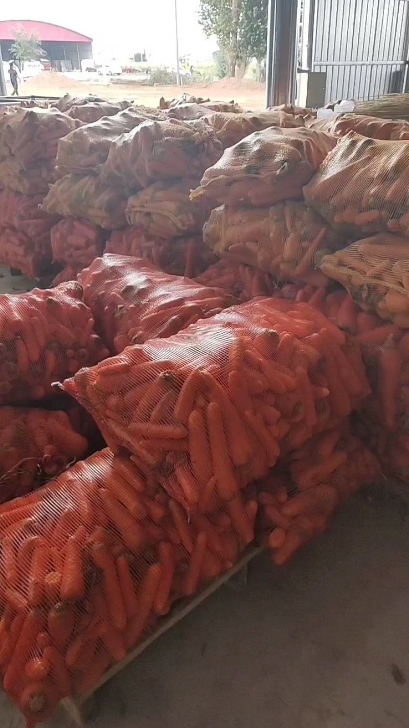 胡萝卜