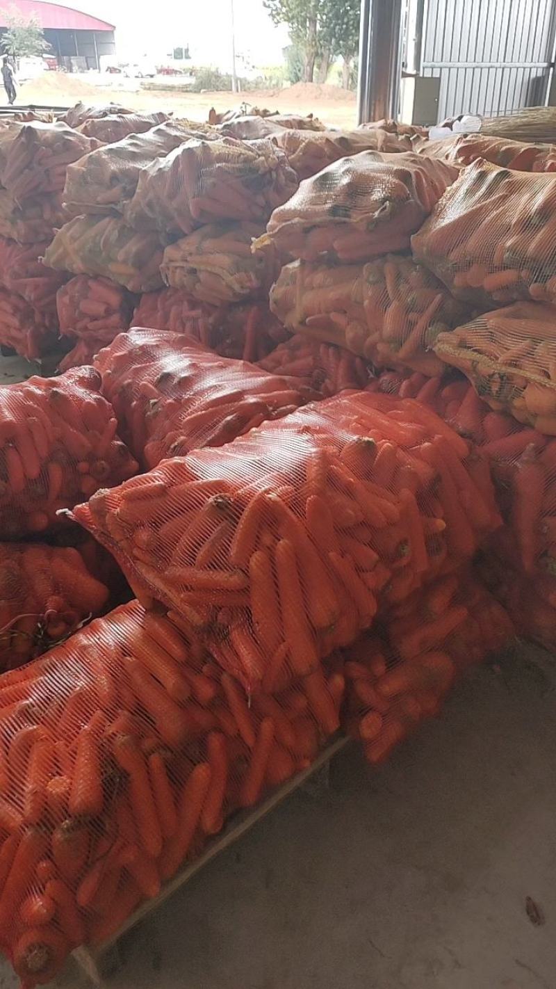 胡萝卜