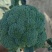 精品西蓝花