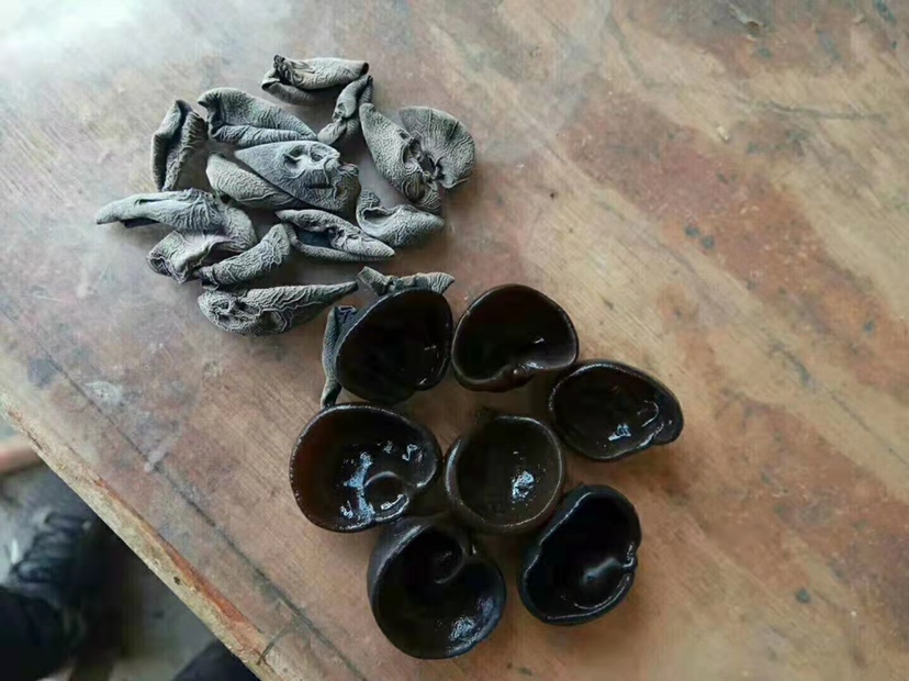 黑木耳泡发前后对比图