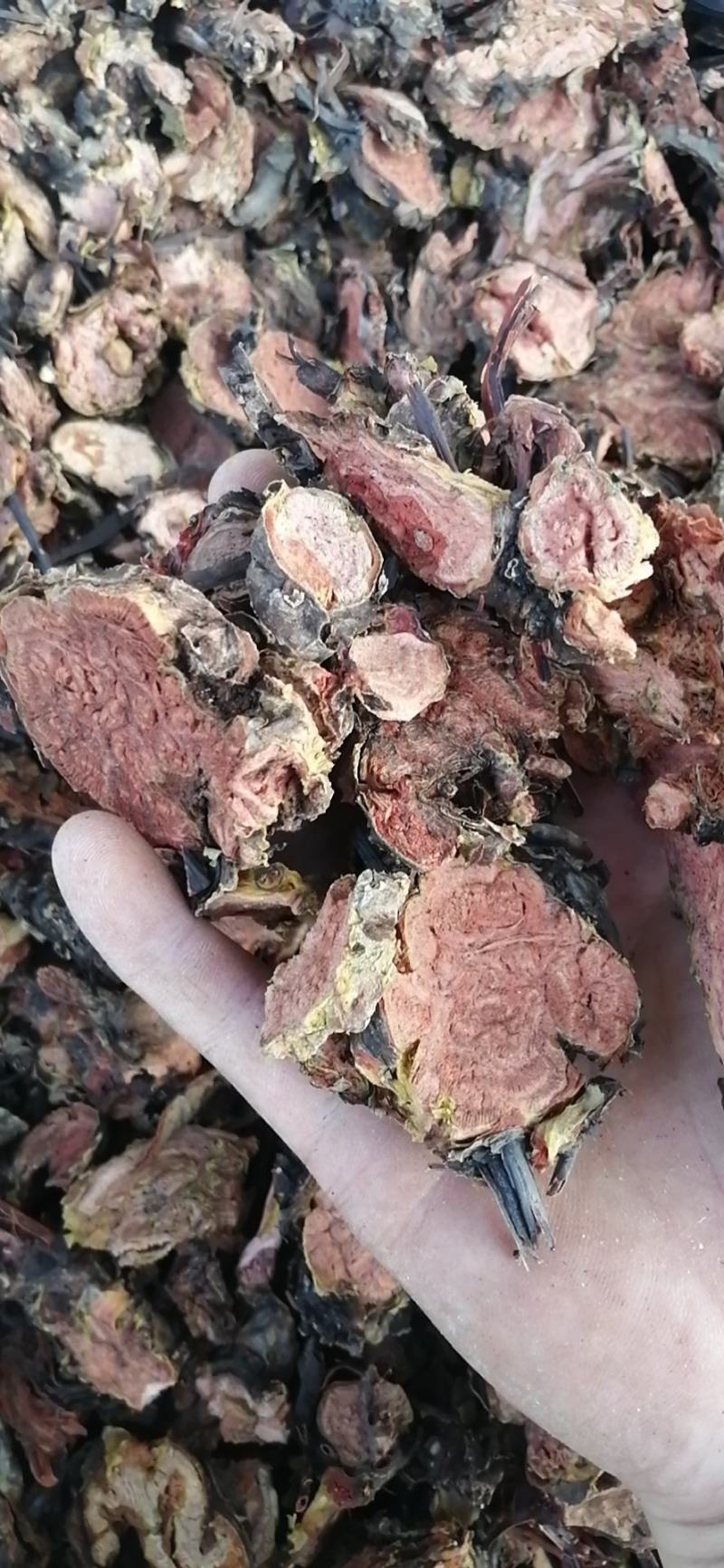 红景天，中药材红景天正品大红西藏红景天各种规格中药材