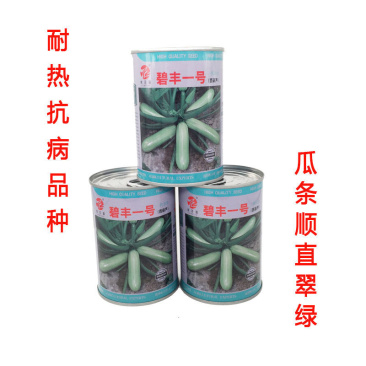 100克约600粒装碧丰一号耐热西葫芦种子角瓜种子